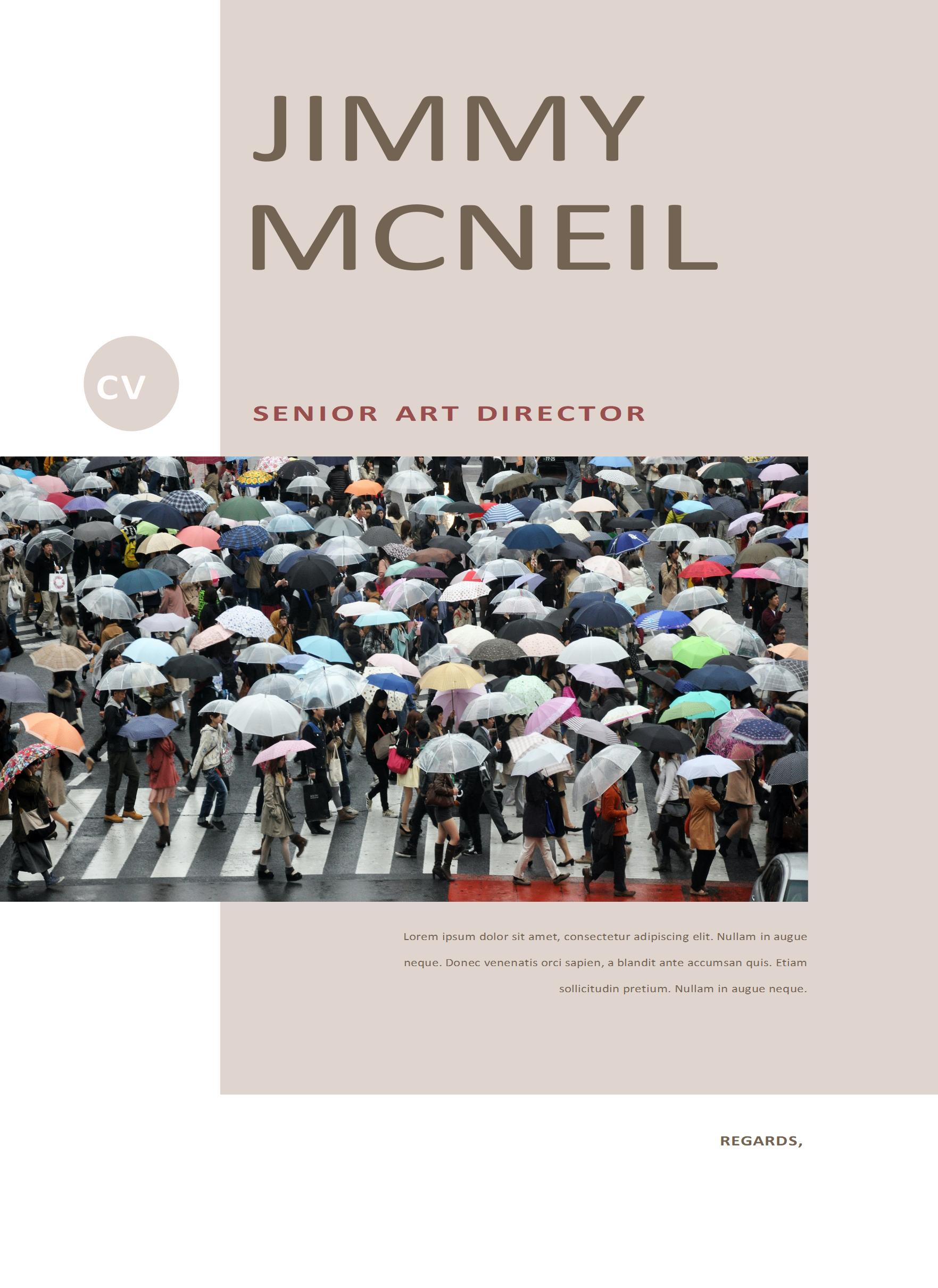 高端免费创意英文简历模板