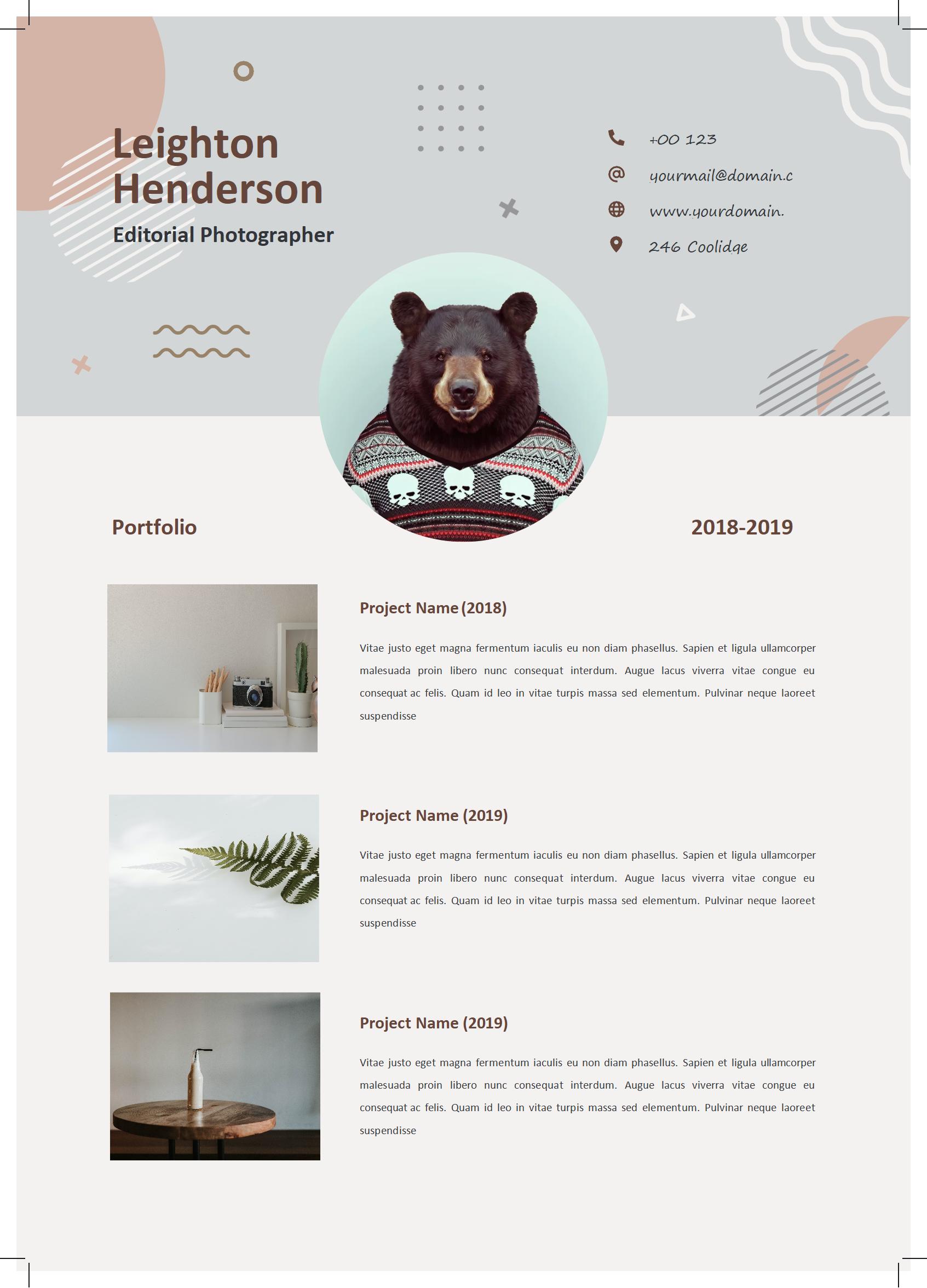 免费标准英文简历模板