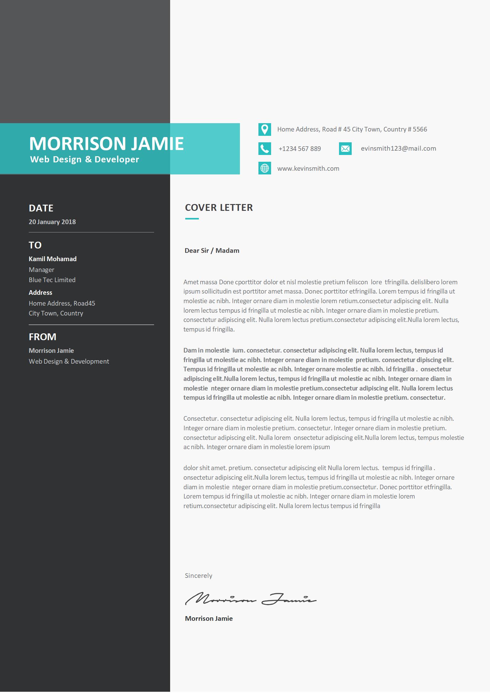 免费灰色简约英文简历模板