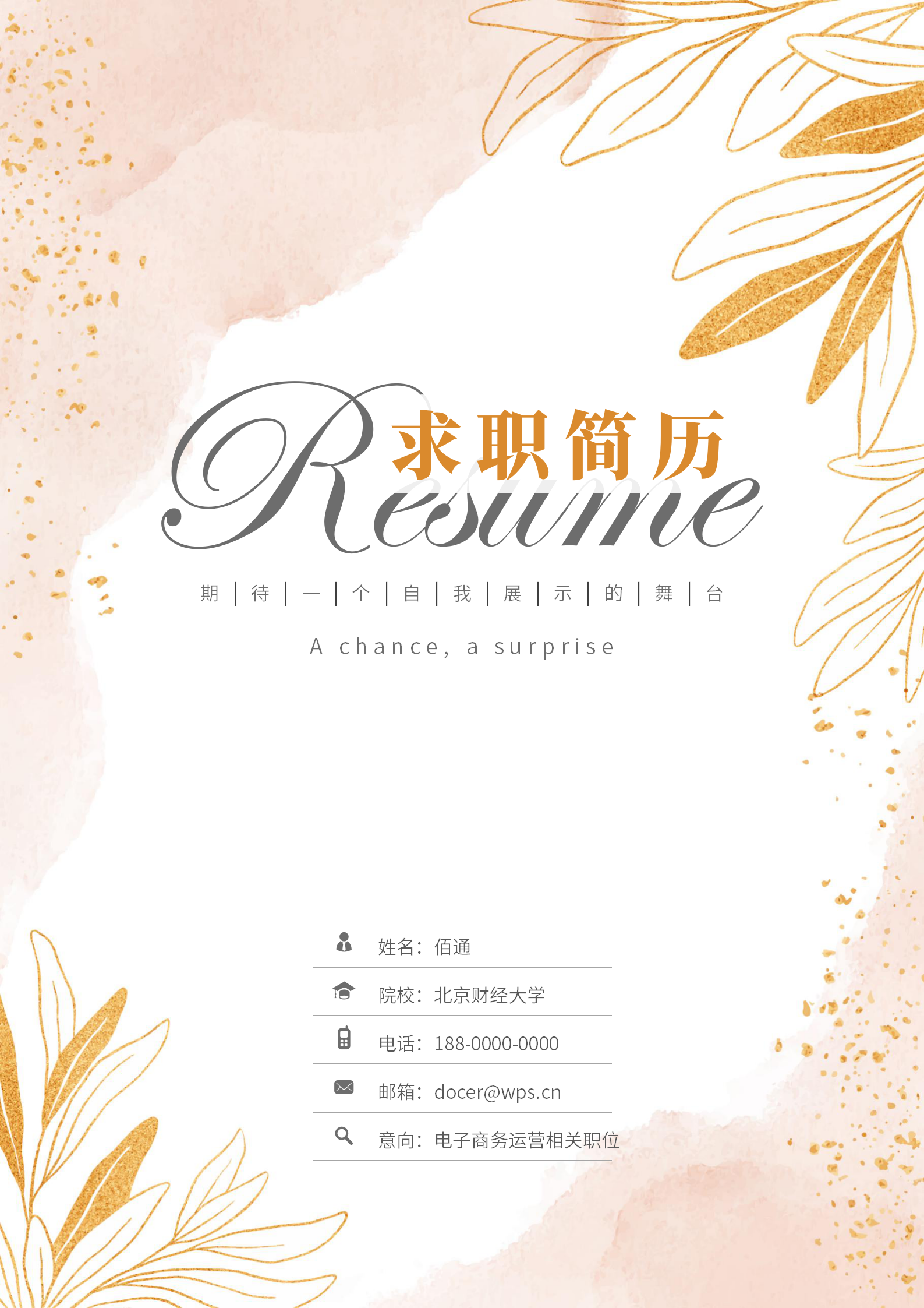 热门免费电商推广简历模板（含封面自荐信）