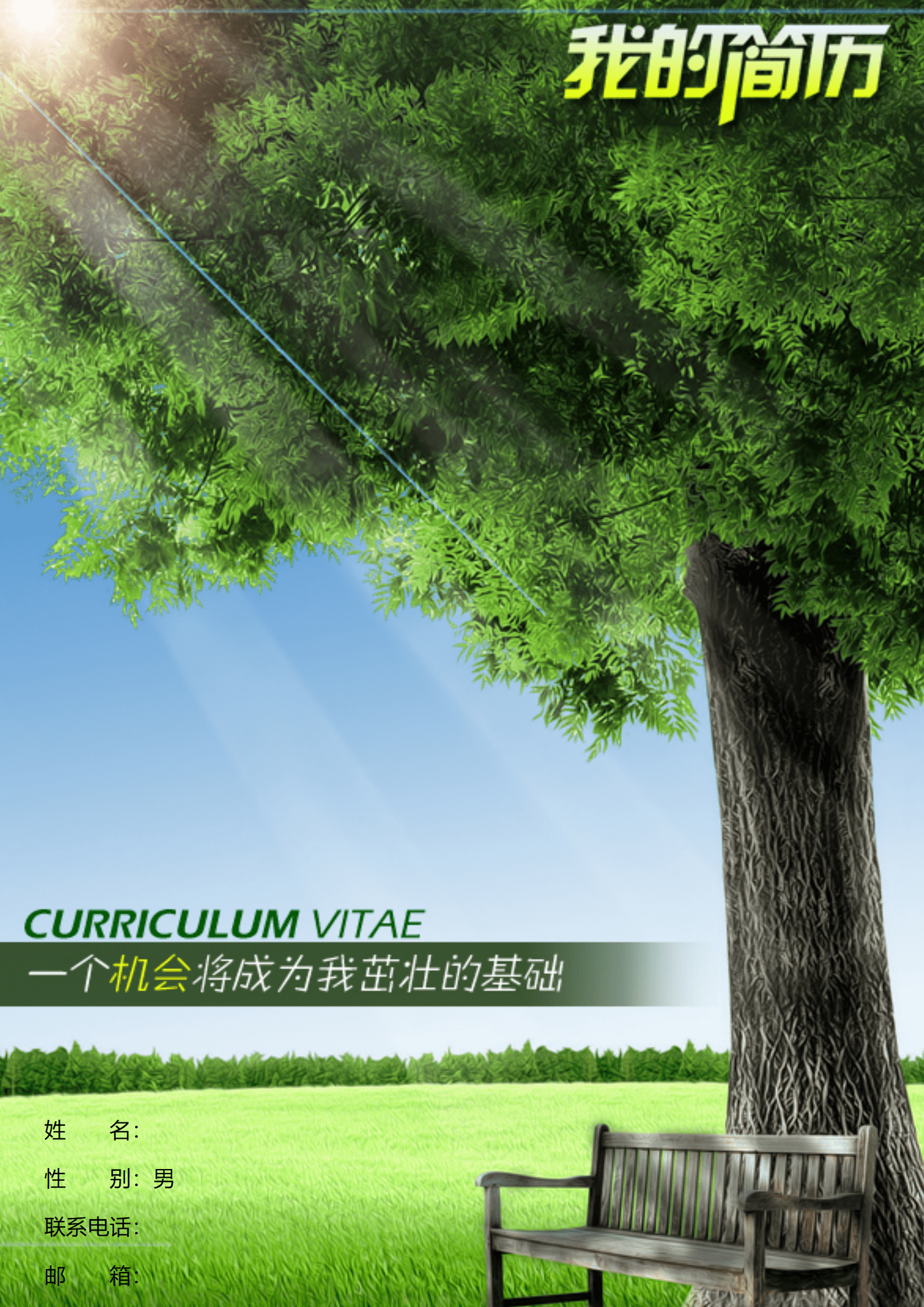 免费简历模板填写